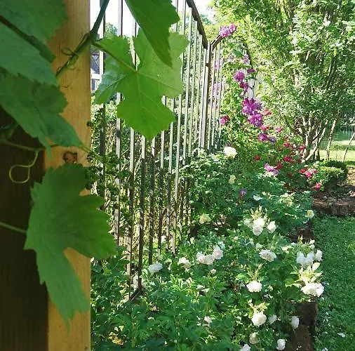 Appartement Esplanaadi 25